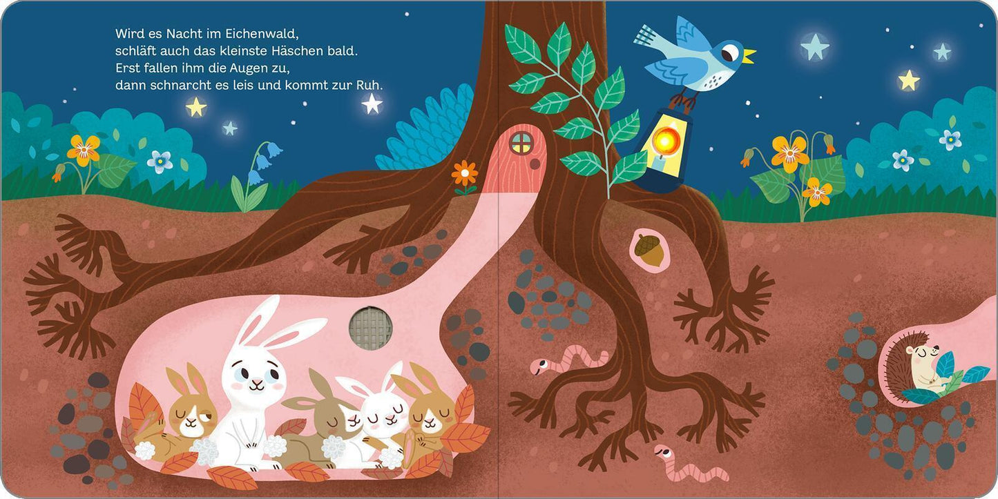 Ars Edition Mein blinkendes Soundbuch - Schlaft schön! (Deutsch, 2022, Maria Höck, Kasia Dudziuk)