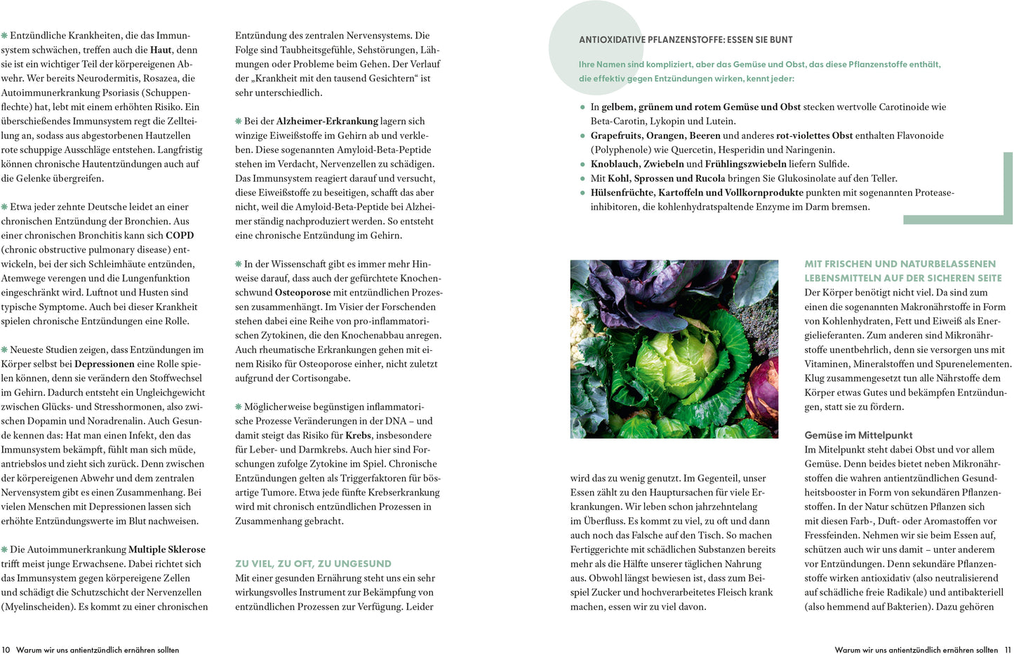ZS Die Ernährungs-Docs - Unsere 100 besten antientzündlichen Rezepte (Deutsch, 2024, Matthias|Andresen Riedl)