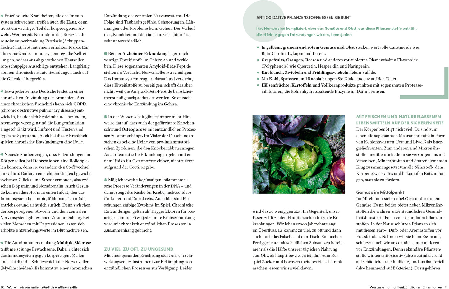 ZS Die Ernährungs-Docs - Unsere 100 besten antientzündlichen Rezepte (Deutsch, 2024, Matthias|Andresen Riedl)