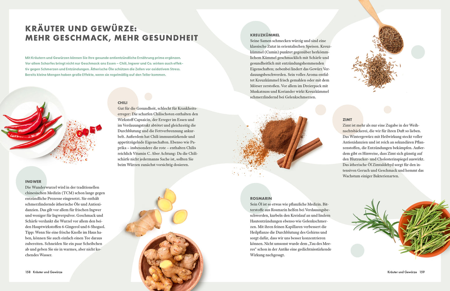 ZS Die Ernährungs-Docs - Unsere 100 besten antientzündlichen Rezepte (Deutsch, 2024, Matthias|Andresen Riedl)