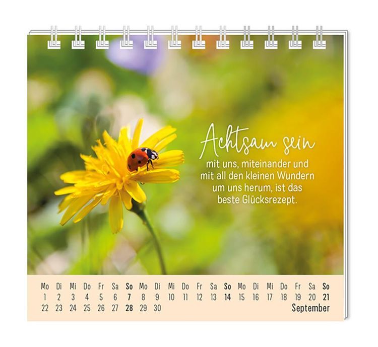 Mini-Kalender 2024 Eine Extraportion Glück für dich!