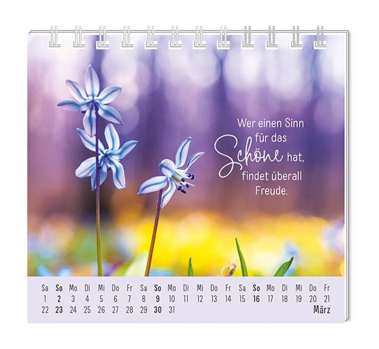 Mini-Kalender 2024 Eine Extraportion Glück für dich!