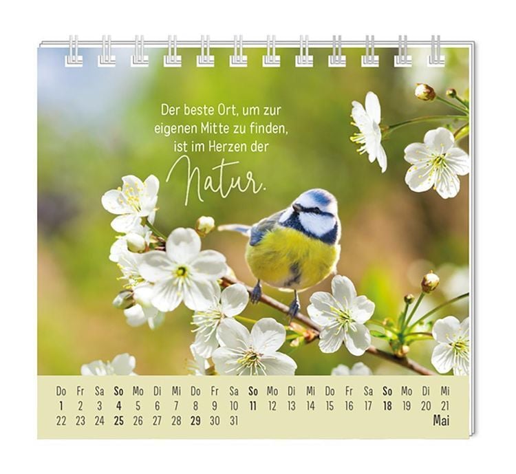 Mini-Kalender 2024 Eine Extraportion Glück für dich!