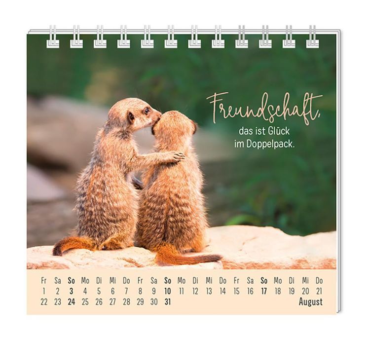 Mini-Kalender 2024 Eine Extraportion Glück für dich!