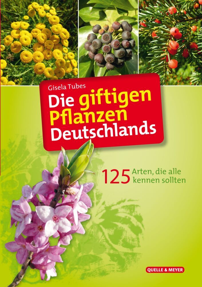 Die giftigen Pflanzen Deutschlands (Gisela Tubes)