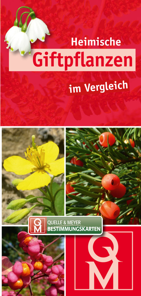 Heimische Giftpflanzen im Vergleich (Quelle & Meyer Verlag)