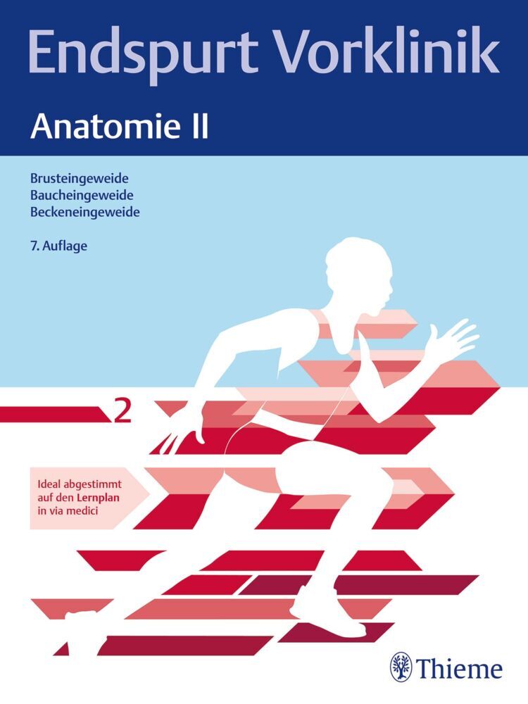 Endspurt Vorklinik: Anatomie II