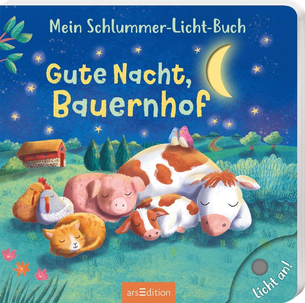 Mein Schlummer-Licht-Buch: Gute Nacht, Bauernhof (Maria Höck)