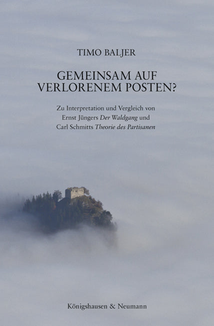 Gemeinsam auf Verlorenem Posten? (Timo Baljer)