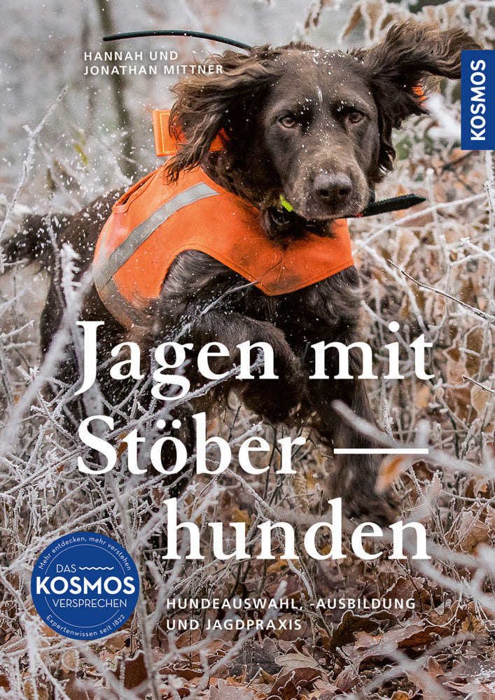 Jagen mit Stöberhunden (Hannah Mittner)