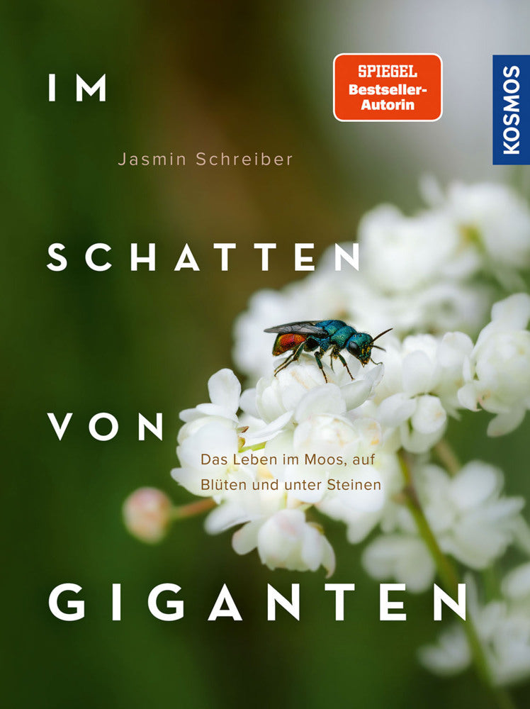 Im Schatten von Giganten (Jasmin Schreiber)
