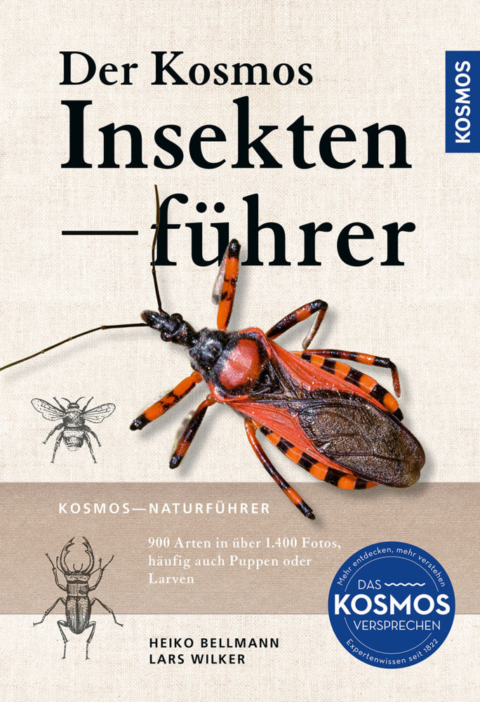 Der KOSMOS Insektenführer (Heiko Bellmann)