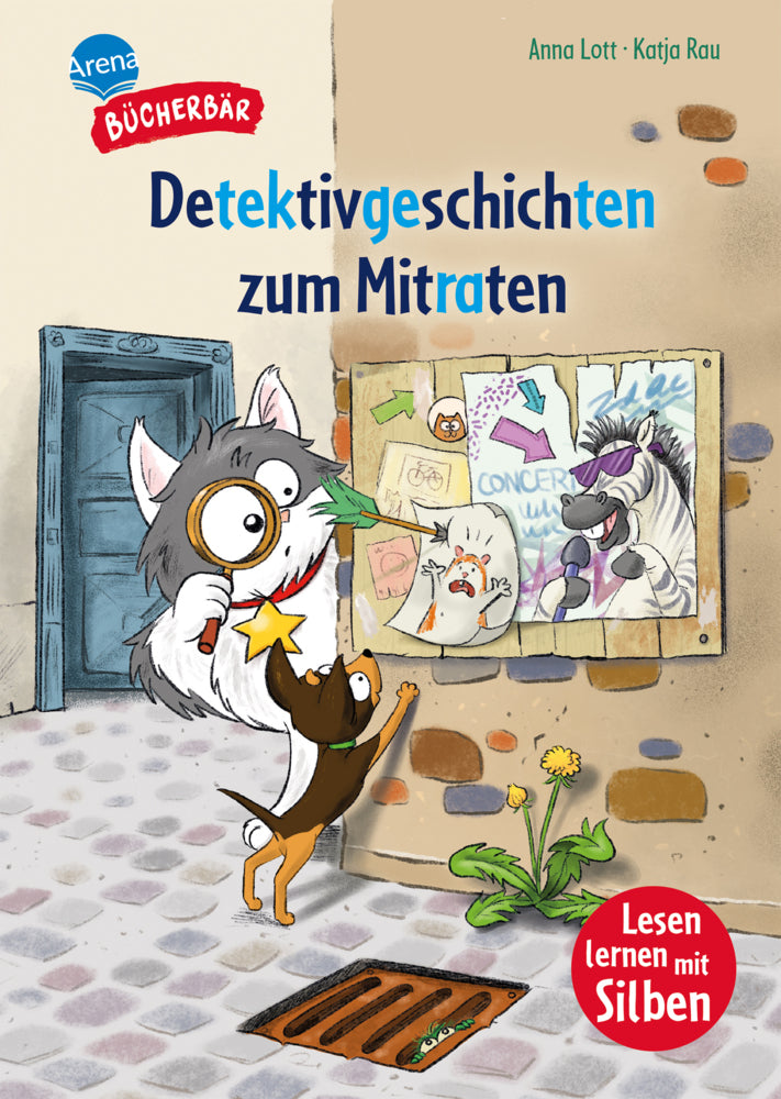 Detektivgeschichten zum Mitraten (Anna Lott)