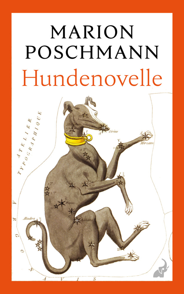 Hundenovelle (Marion Poschmann)