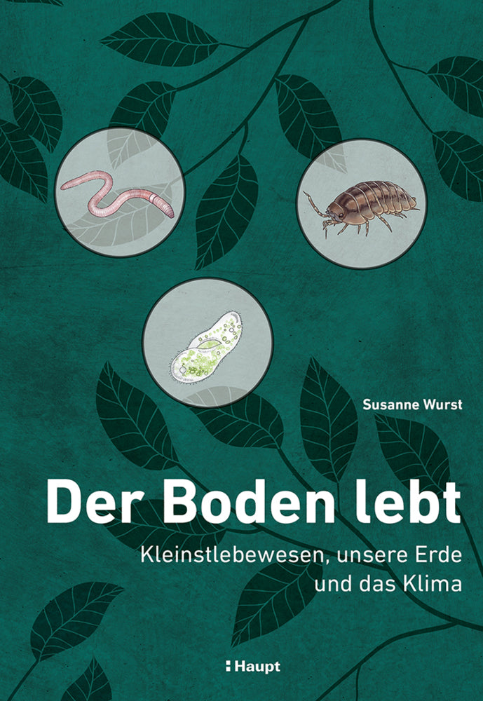 Der Boden lebt (Susanne Wurst)