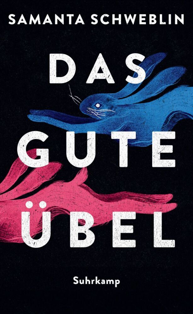 Das gute Übel (Samanta Schweblin)