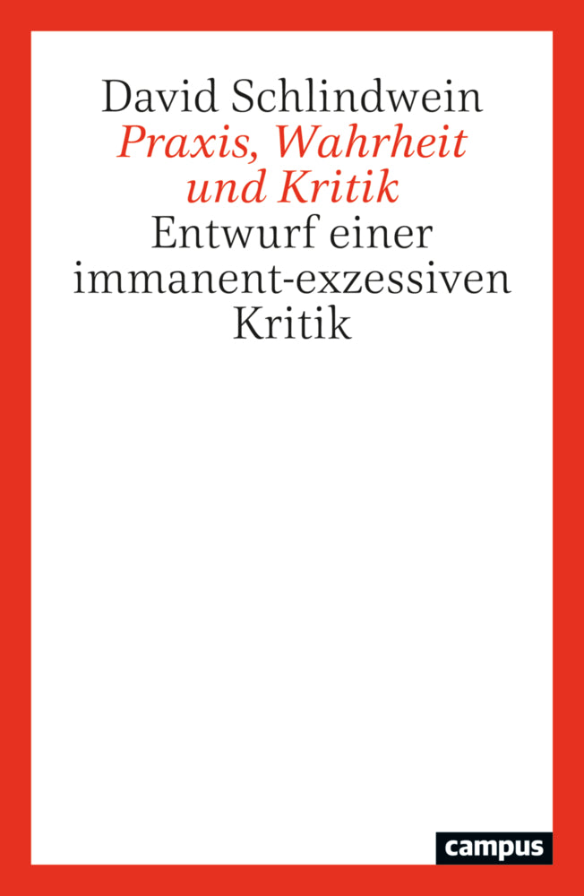 Praxis, Wahrheit und Kritik (David Schlindwein)