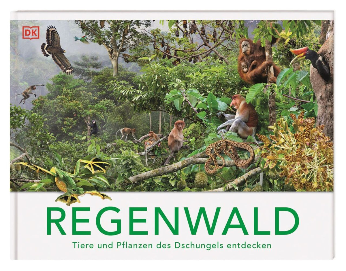 Regenwald (Michael Leach)