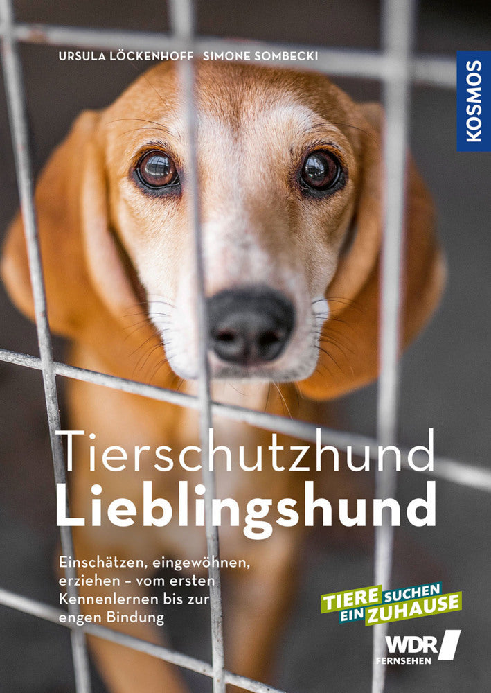 Tierschutzhund Lieblingshund (Ursula Löckenhoff)
