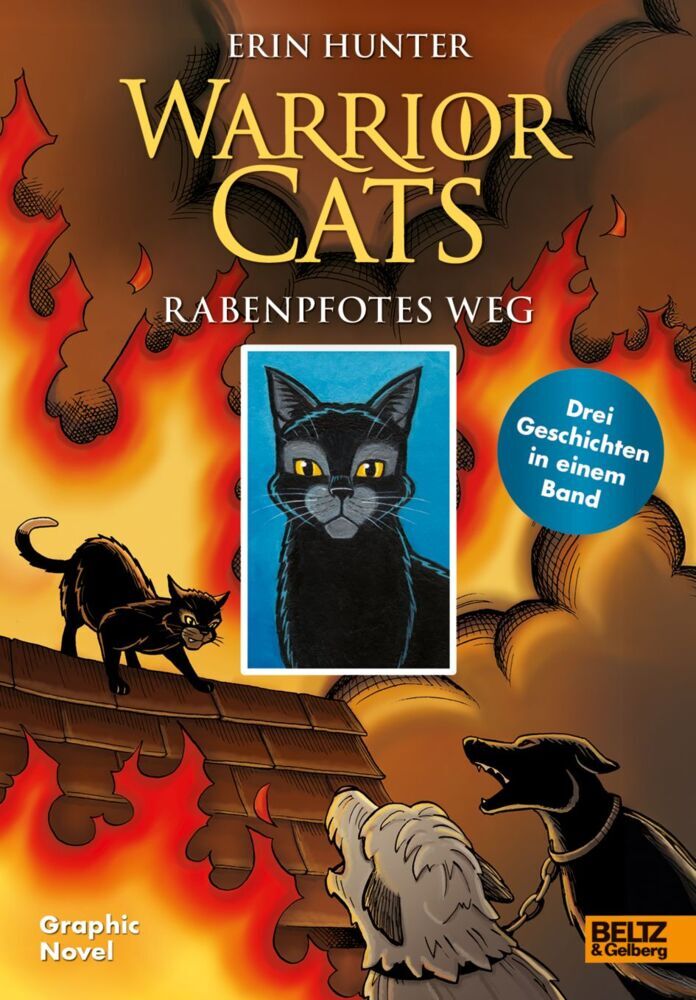 Warrior Cats - Rabenpfotes Weg (Erin Hunter)