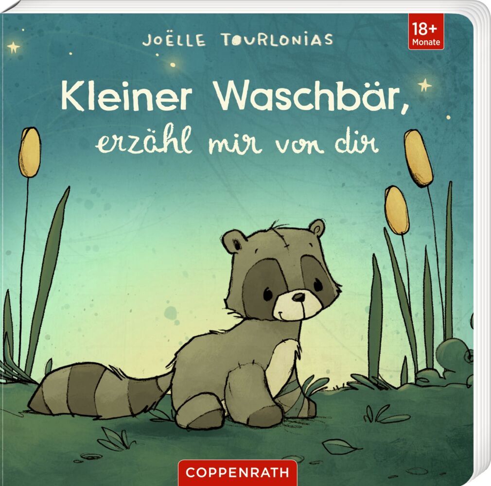 Liebling: Kleiner Waschbär, erzähl mir von dir (Joëlle Tourlonias)
