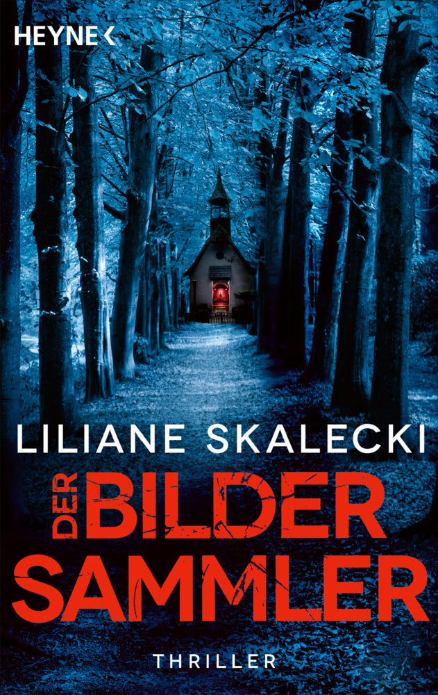 Der Bildersammler (Liliane Skalecki)