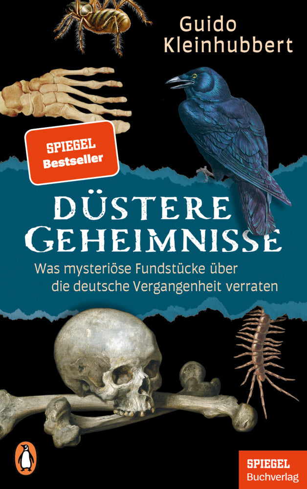 Düstere Geheimnisse (Guido Kleinhubbert)