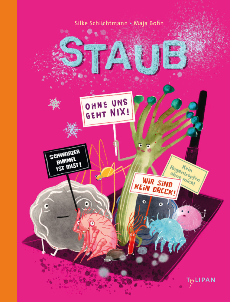 Staub (Silke Schlichtmann)
