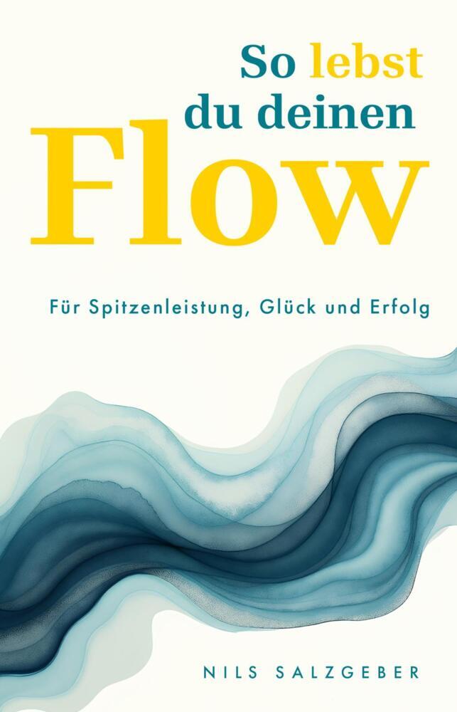 So lebst du deinen Flow (Nils Salzgeber)