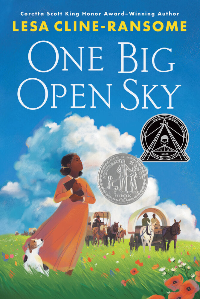 One Big Open Sky (Lesa Cline-Ransome)