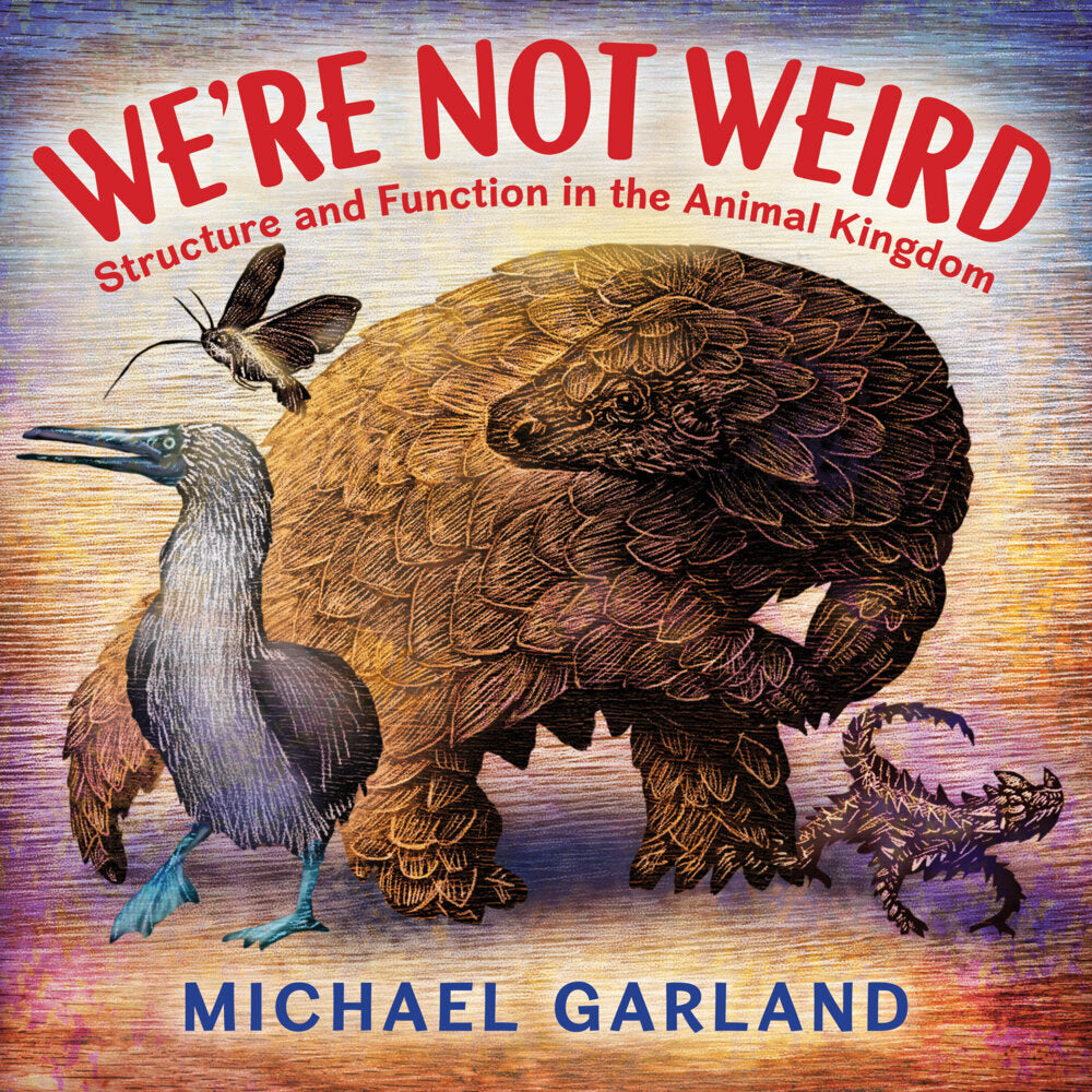 We're Not Weird (Michael Garland)