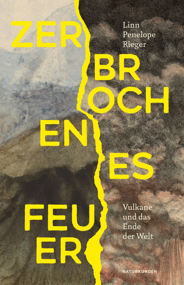 Zerbrochenes Feuer (Linn Penelope Rieger)