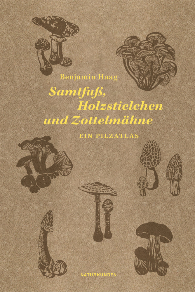 Samtfuß, Holzstielchen und Zottelmähne (Benjamin Haag)