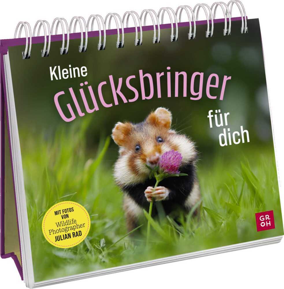 Kleine Glücksbringer für dich (Julian Rad)