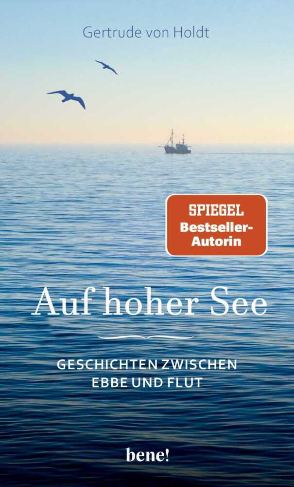 Auf hoher See (Gertrude Von Holdt)