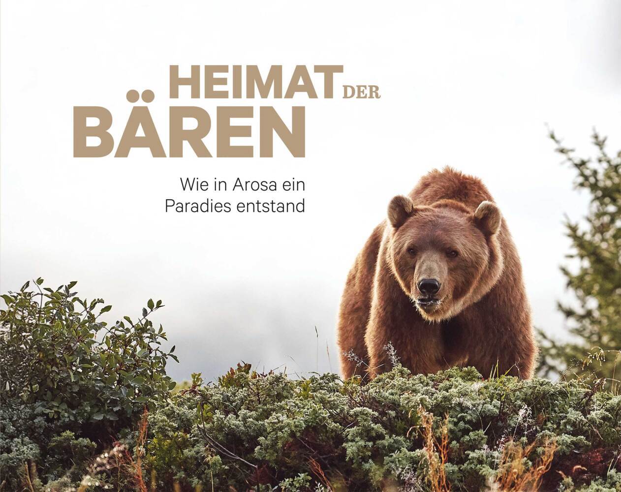 Heimat der Bären (Pascal Jenny)