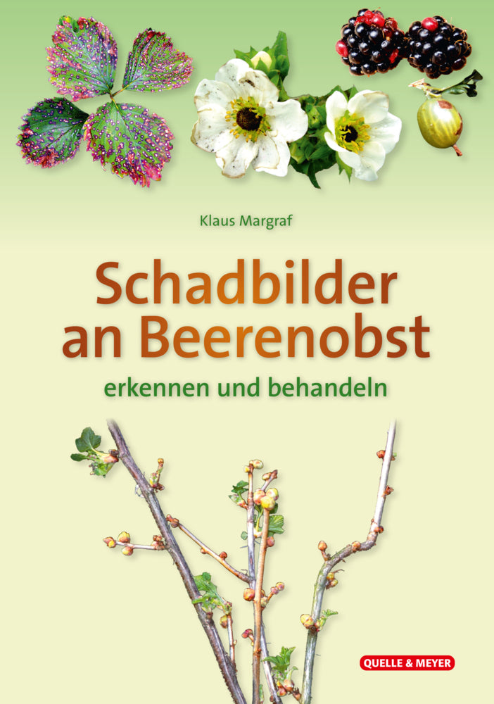 Schadbilder an Beerenobst (Klaus Margraf)