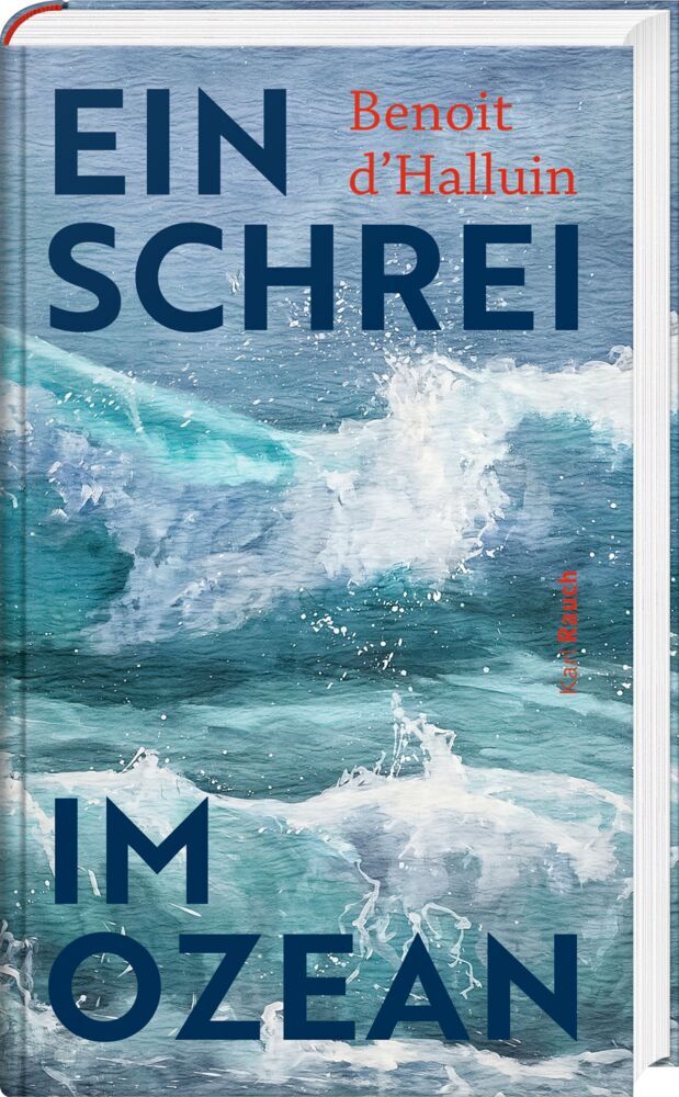 Ein Schrei im Ozean (Benoit D`Halluin)