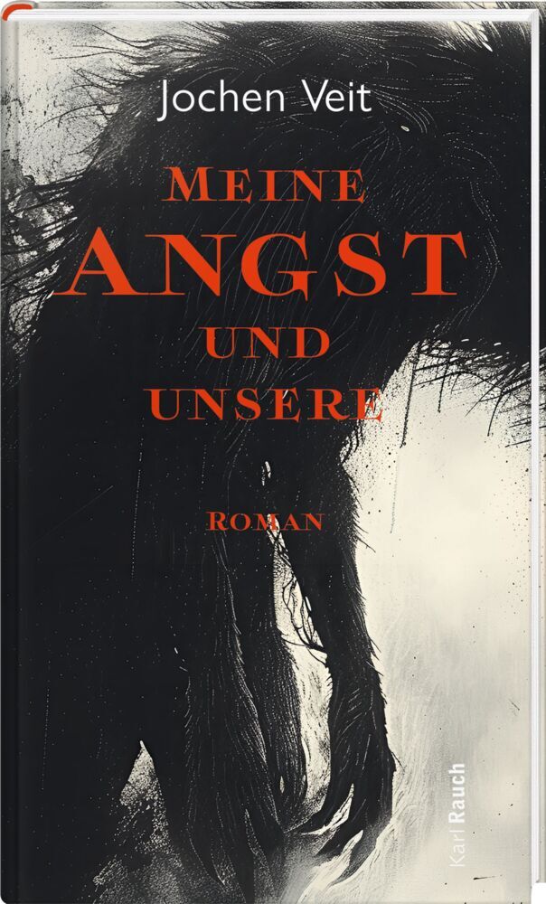 Meine Angst und unsere (Jochen Veit)