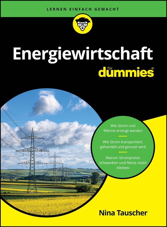 Energiewirtschaft für Dummies (Nina Tauscher)
