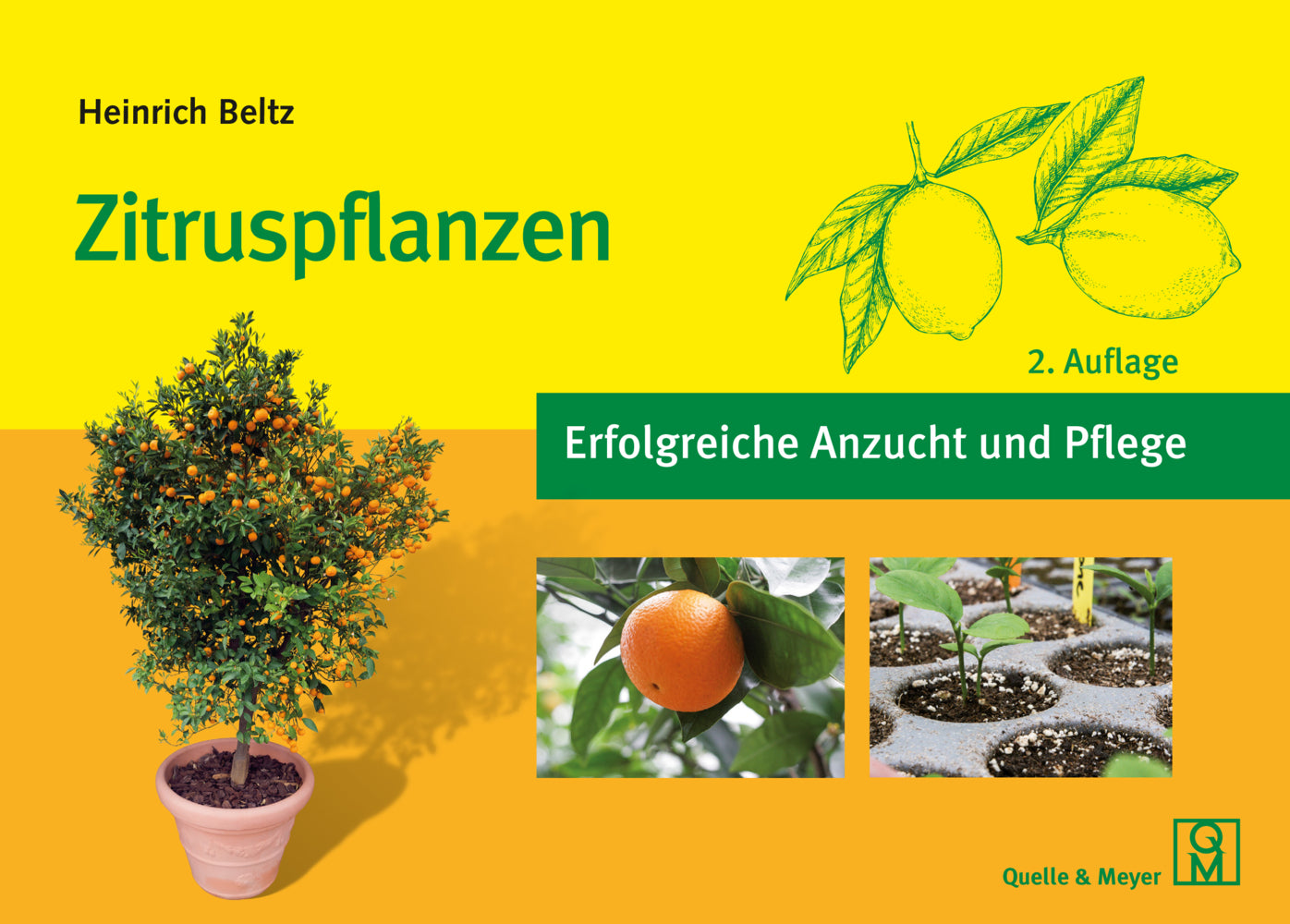 Zitruspflanzen (Heinrich Beltz)