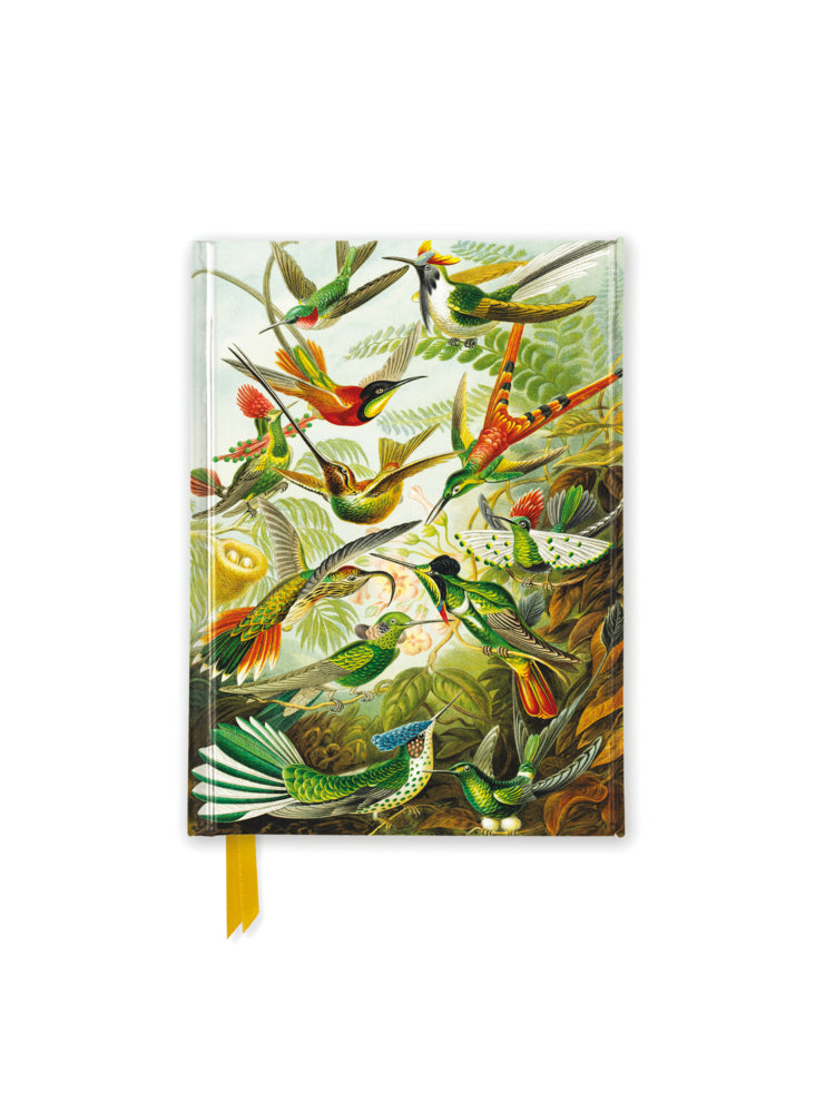 Premium Notizbuch DIN A6: Ernst Haeckel, Kolibris (Flame Tree Publishing)