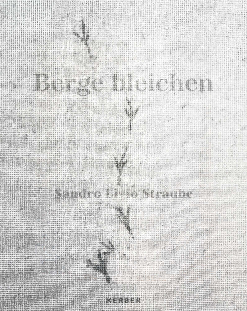 Sandro Livio Straube