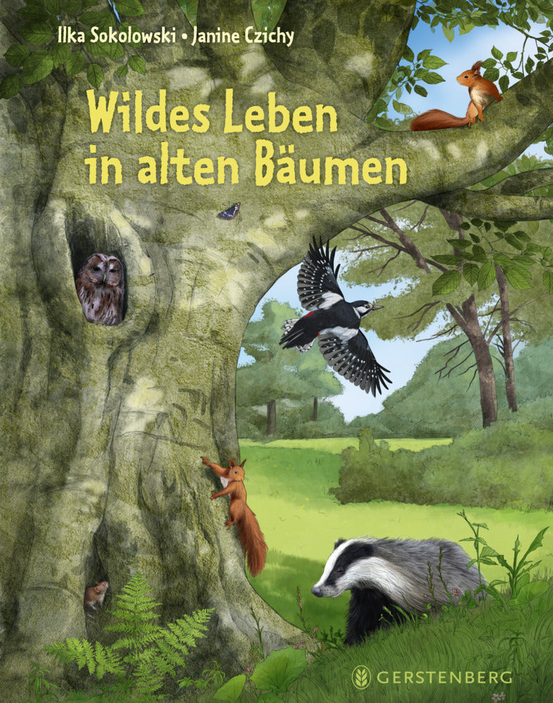 Wildes Leben in alten Bäumen (Ilka Sokolowski)