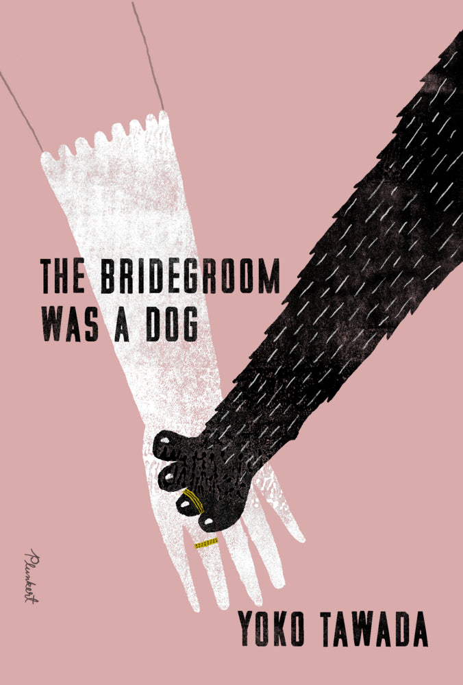 The Bridegroom Was a Dog (Yoko Tawada)