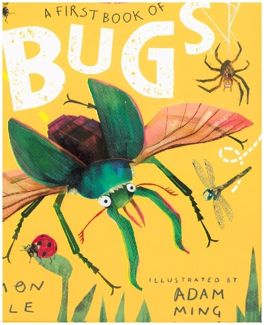 A First Book of Bugs: with 30 poems about insects and minibeasts (Simon Mole)