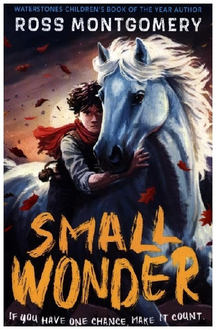 Small Wonder (Ross Montgomery)