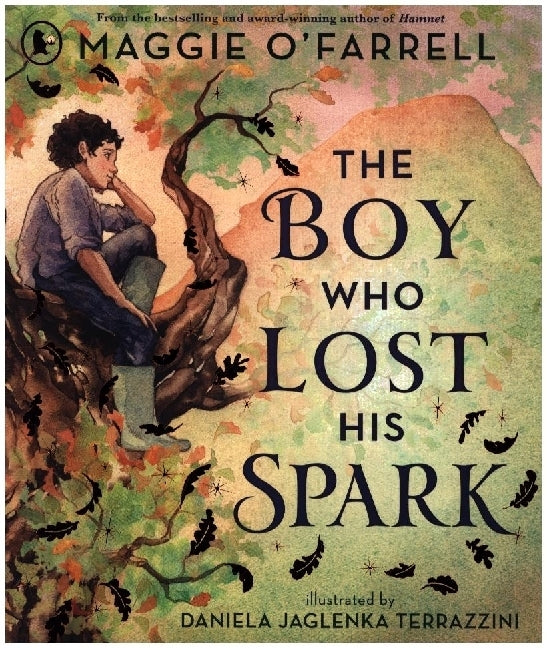 The Boy Who Lost His Spark (Maggie O'Farrell)