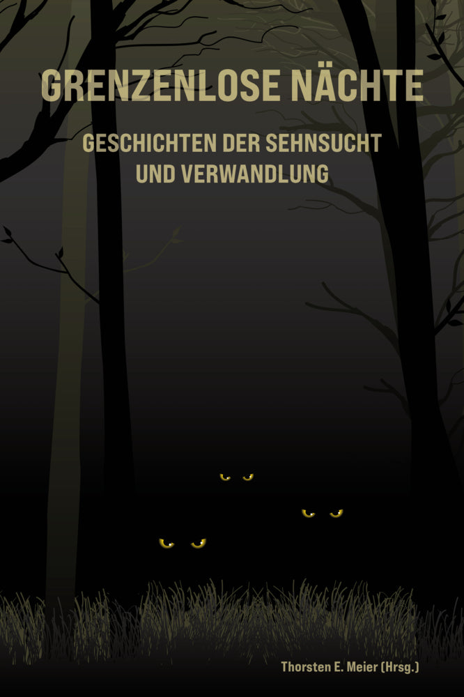 Grenzenlose Nächte - Geschichten der Sehnsucht und Verwandlung (Thorsten E. Meier)