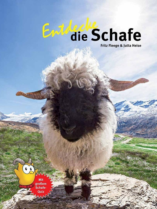 Entdecke die Schafe (Jutta Heise)